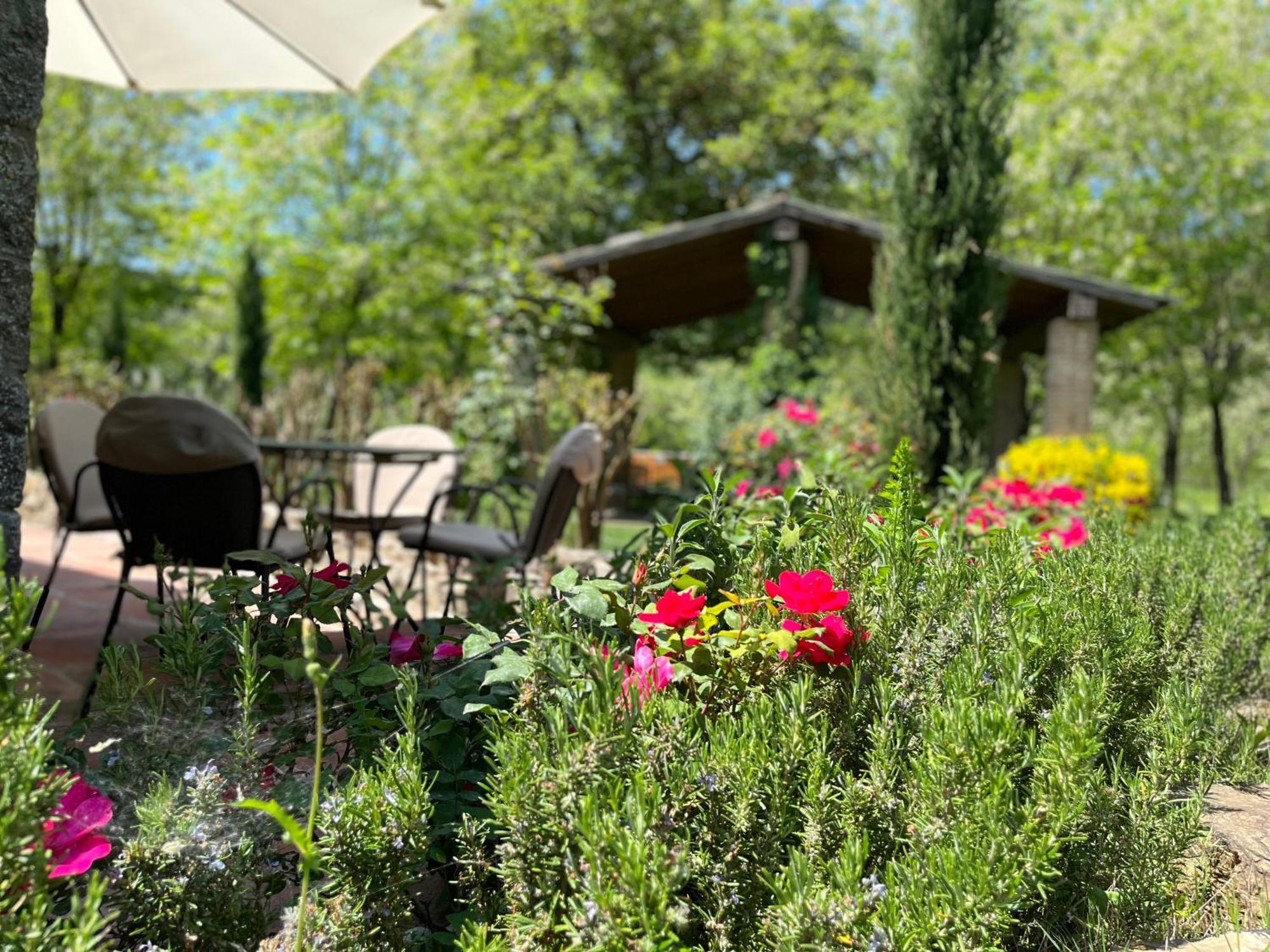 Ferienwohnung Mulino In Chianti Gaiole in Chianti Exterior foto