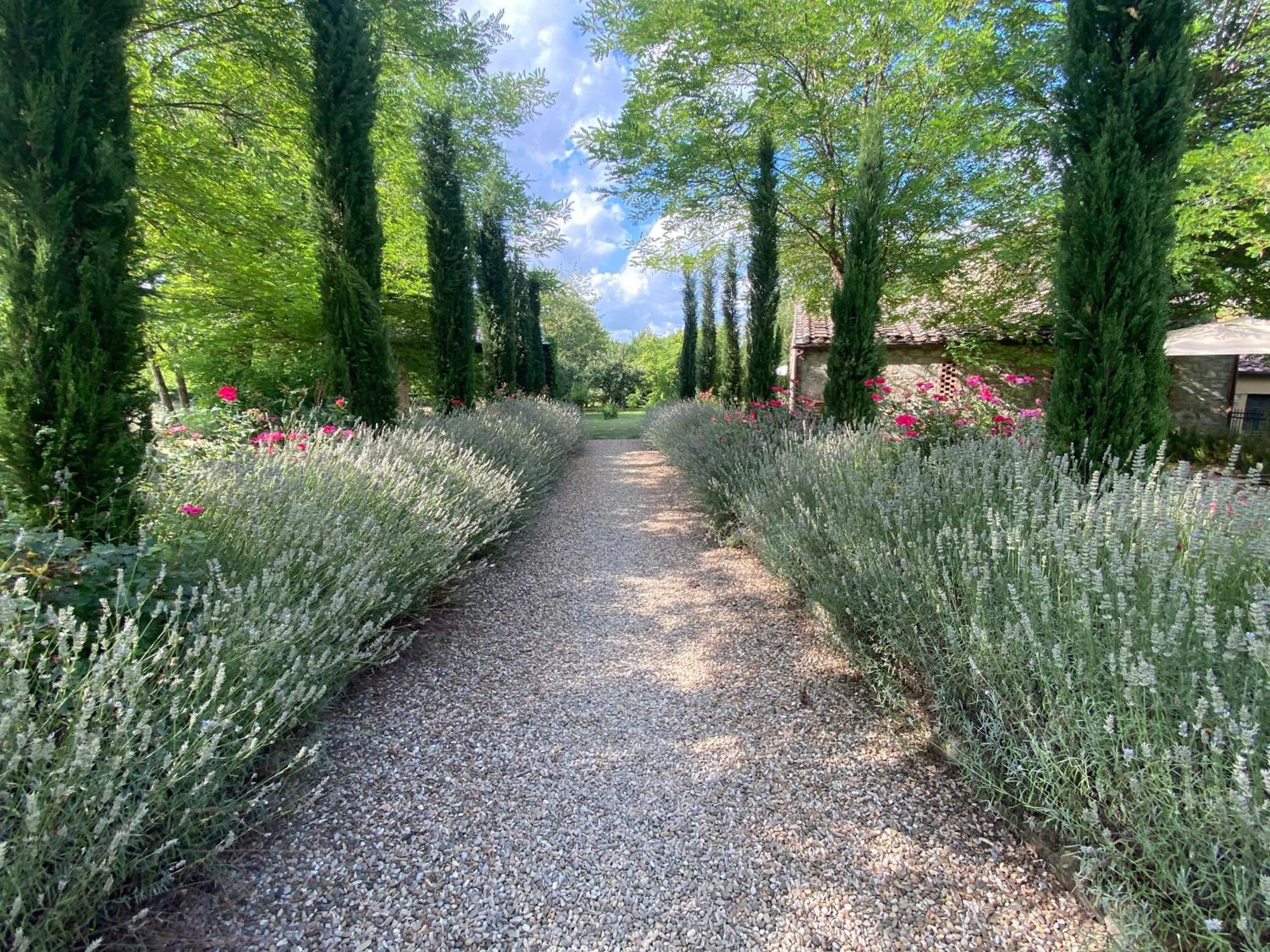 Ferienwohnung Mulino In Chianti Gaiole in Chianti Exterior foto